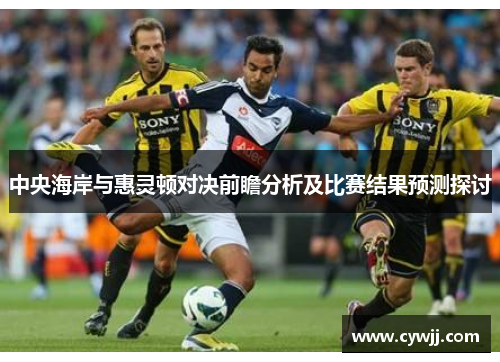 中央海岸与惠灵顿对决前瞻分析及比赛结果预测探讨