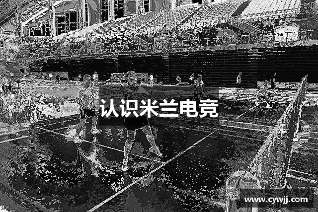 认识米兰电竞